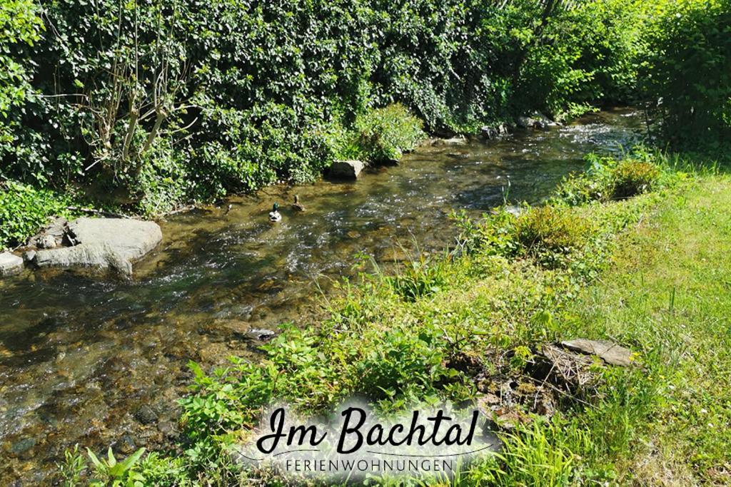 Ferienwohnung Im Bachtal Pommern Zewnętrze zdjęcie