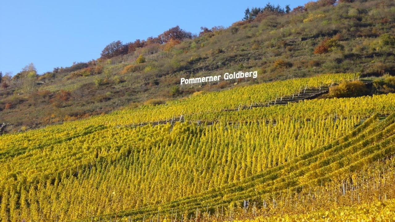 Ferienwohnung Im Bachtal Pommern Zewnętrze zdjęcie