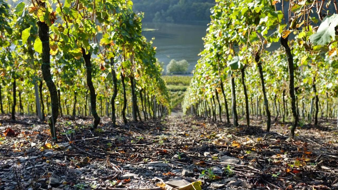 Ferienwohnung Im Bachtal Pommern Zewnętrze zdjęcie